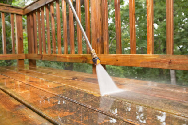 Best Fence Cleaning  in Phoenix, IL