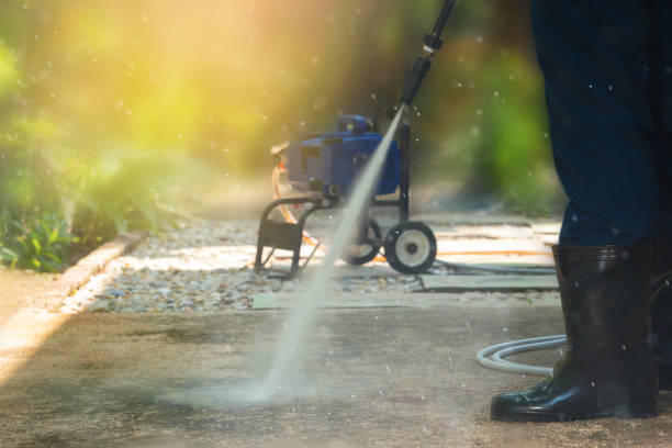 Animal Enclosure Cleaning in Phoenix, IL